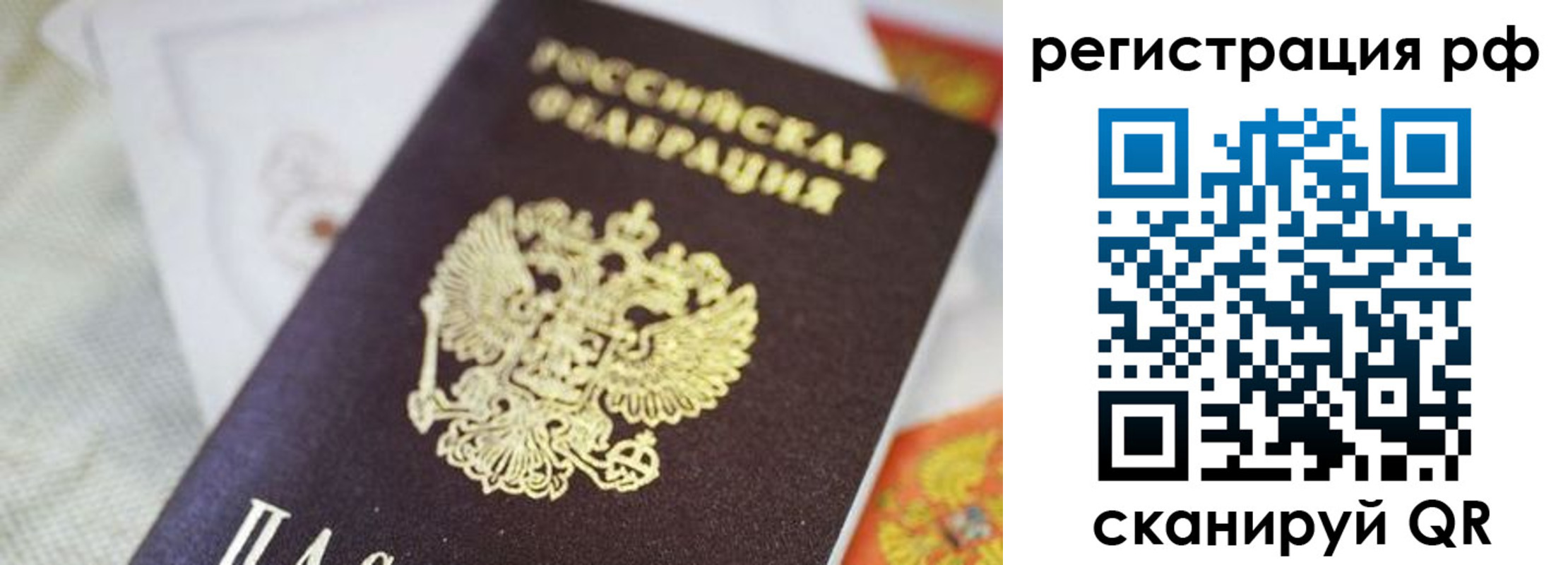 прописка гарантия в Дубне